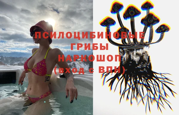 соль курить ск Богородицк