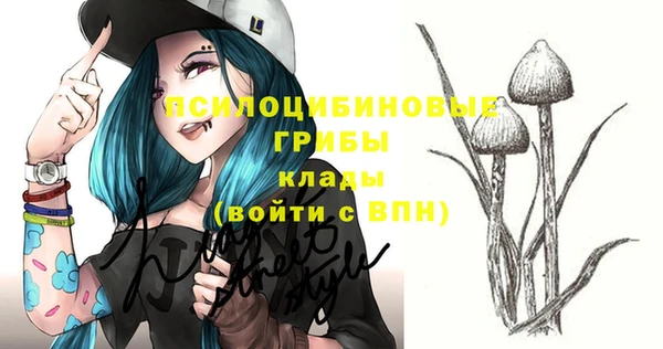 соль курить ск Богородицк
