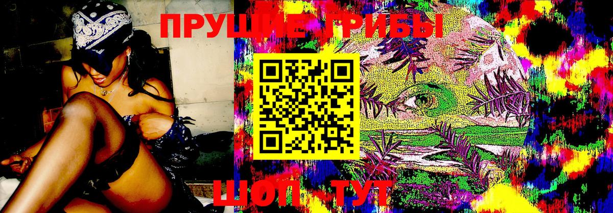 Псилоцибиновые грибы MAGIC MUSHROOMS  Маркс 